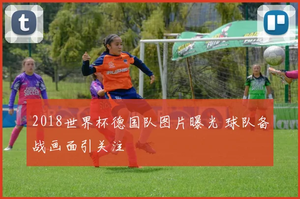 2018世界杯德国队图片曝光 球队备战画面引关注