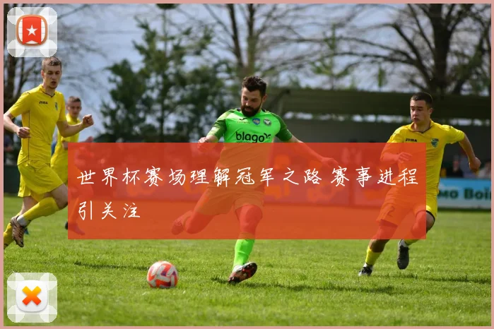 世界杯赛场理解冠军之路 赛事进程引关注