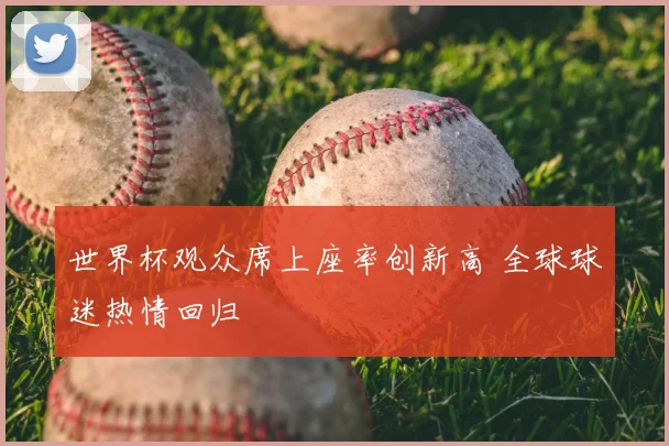 世界杯观众席上座率创新高 全球球迷热情回归